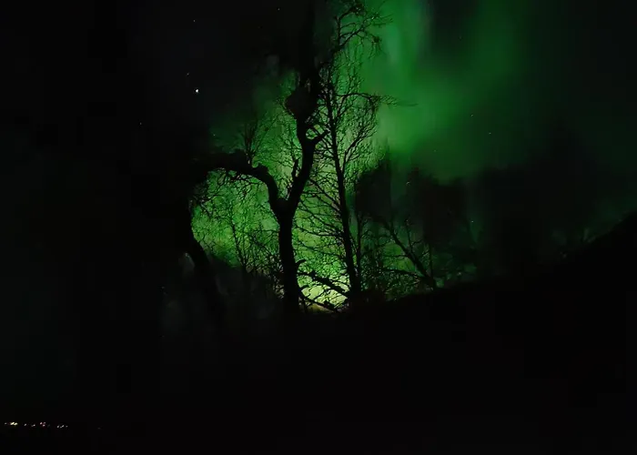 Charles * Kolstad